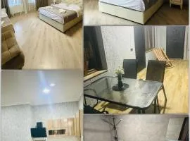 Nicola House in Borjomi