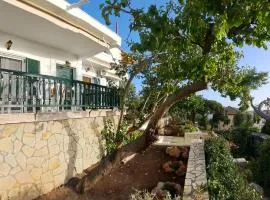 Villa tou pappou