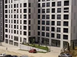 Pristhine Stay Inn 21