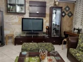 Comfortable and elegant apartment