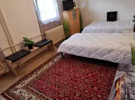 FeWo Kassel Wilhelmshöhe 2 Bett Zimmer mit gem Küche Bad WC