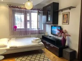 Plac Bankowy Apartment, Metro