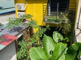 Ốc Homestay Cát Bà