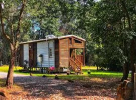 Sanctuary Cabin - Noosa Hinterland