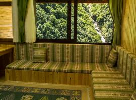 Ayder Saray Apart, hotel with parking in Ayder Yaylasi