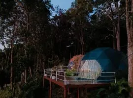 NATUR - Krabi Campsite Glamping & Camping
