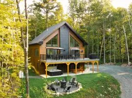 Spa and Billard - Chalet Le Silverson