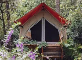 Hodota Ankroet Resort