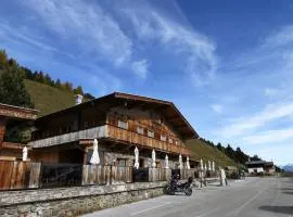 Chalet in Zillertal near Ski Slopes
