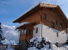 Chalet in Fügen near Spieljoch Ski Lift