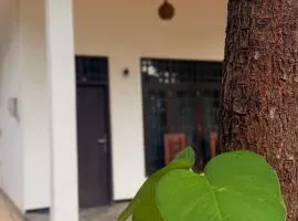 Yala Taman