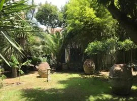 Villa Elena