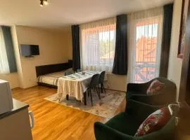 Private large apartment in Iglika 2 for 4 people