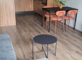 Loftowy apartament - 15 min od starówki w Gdańsku
