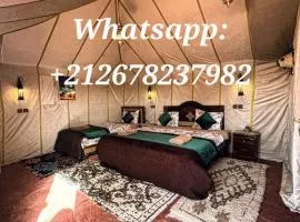 Ali Zawa Camp