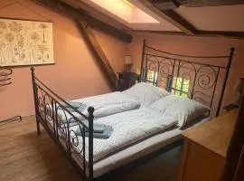 Ferienhaus an der Ostsee mit großem Garten