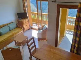 Paradiski proche des pistes plan peisey