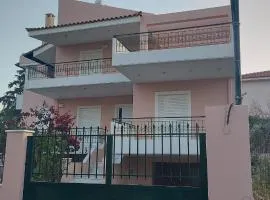 Harmony 5