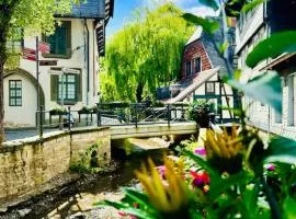 Goslar Altstadt FeWo Kultur und Natur im Harz