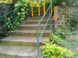 Beach & forest scape