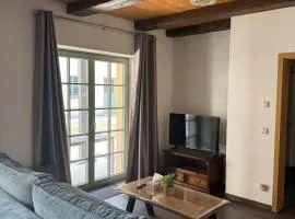 Quiet apartment in Dresden