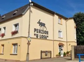penzion U losa