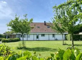 Domaine des Célestins - Samara