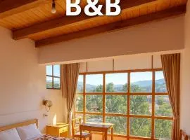 Banderas B&B