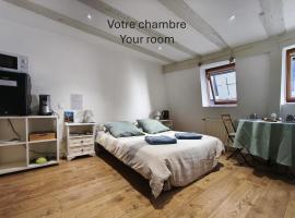 Chambre - Centre historique - Equipée - Salle d'eau et WC privés, hotel cápsula en Colmar