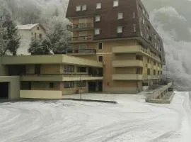 Artesina