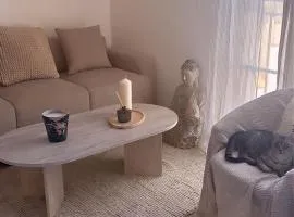 Magnifique appartement lumineux avec piscine