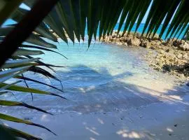 Beachfront home near Dunns River Falls