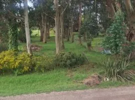Cabañas yarri II