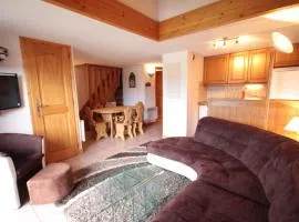 Beau 4 pièces avec balcons aux Saisies, 2 salles de bains, 8 couchages, équipements complets - FR-1-293-63