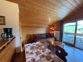 Appartement spacieux aux Saisies avec piscine et parking pour 6 personnes - FR-1-293-360