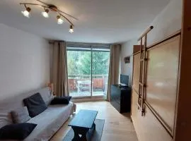 Studio 4 pers avec balcon, au pied des pistes, proche ESF et remontées mécaniques - FR-1-516-193