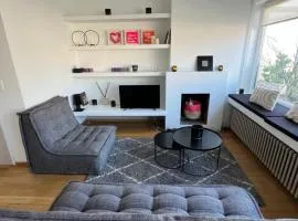 Beautiful penthouse at 5min of Albert place