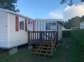 Mobil home 3 chambres 2 sdb 282