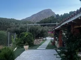 Cortijo Algüit