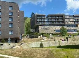 Annette Apartment - Dolní Morava