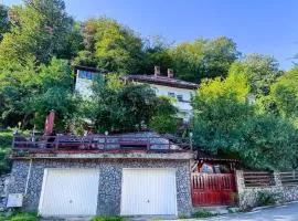 Vila Brazilor