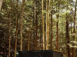 Postcard Cabins Eastern Catskills, Outdoor Collection by Marriott Bonvoy