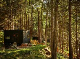 Postcard Cabins Eastern Catskills, Outdoor Collection by Marriott Bonvoy, hotel em Catskill