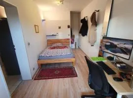 Schönes, zentral gelegenes Zimmer mit Südbalkon