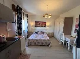 New Verona Business and Fun camere&monolocali GB Rossi friendly