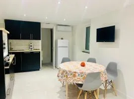 Palais Clerissy - Appartement 2 à 4 personnes centre ville Nice
