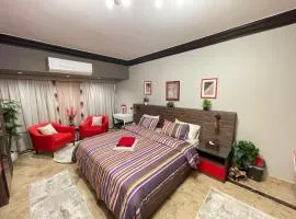 Luxury Apartment- Partial Nile View Cairo
