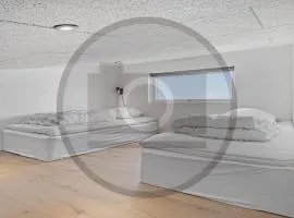 Nice Home In Børkop With Sauna