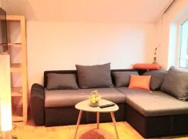 Sunny and Comfortable Apartment with Terrace and Garden - Two Bedroom Apartment with Terrace