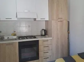 Apartments Boris Donji Karin - One Bedroom Apartment Deluxe Apartment